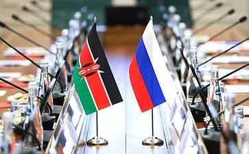 Встреча председателя Комитета СФ по международным делам Григория Карасина с заместителем Председателя Сената Республики Кения Катури Мурунги