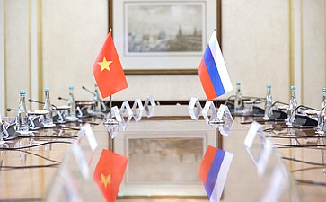 Валентина Матвиенко провела встречу с Премьер-министром Социалистической Республики Вьетнам Фам Минь Тинем