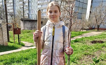 Александр Никитин передал посадочный материал — саженцы рябины и сосны из питомника г. Мичуринска Тамбовской области для закладки аллеи в городе Краснодон Луганской Народной Республики