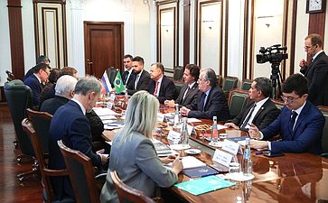 Константин Косачев провел встречу с первым заместителем Председателя Федерального сената Национального конгресса Федеративной Республики Бразилии Венезиано Виталом ду Рего