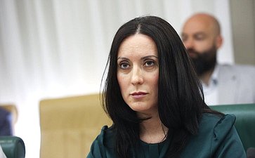 Круглый стол на тему «Актуальные вопросы обеспечения последовательной и обоснованной гуманизации уголовного законодательства Российской Федерации»
