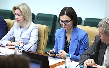 Заседание Комитета Совета Федерации по социальной политике
