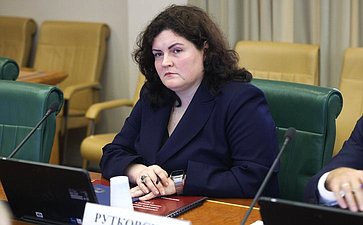 Совещание «Реконструкция судоходных шлюзов № 15–16 Городецкого гидроузла, включая строительство дополнительной камеры шлюза и создание судоходного канала от г. Городец до г. Нижний Новгород»