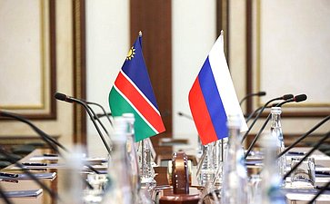 Елена Перминова встретилась с членом Постоянного комитета по вопросам государственной бюджетной отчетности и экономики Национального совета Намибии Абнером Шиконго