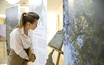 Выставка «Сквозь века и пространства: наскальное искусство России» в Совете Федерации