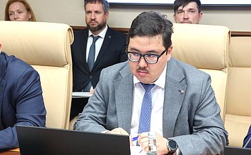 Заседание секции «Цифровые регионы: лучшие практики и стратегии развития» (фото пресс-служба Совета Федерации)