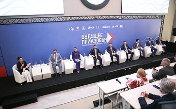 Участие первого заместителя Председателя Совета Федерации Андрея Яцкина в Межрегиональном студенческом слете «Будущее Приазовья»
