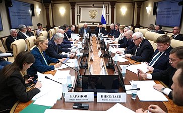 Совещание Комитета Совета Федерации по экономической политике «Пути решения административных, технических и кадровых проблем малой авиации»