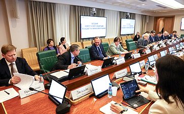 Заседание Комитета Совета Федерации по бюджету и финансовым рынкам