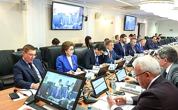Заседание Комитета Совета Федерации по федеративному устройству, региональной политике, местному самоуправлению и делам Севера