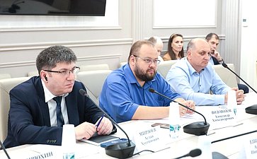 Совещание Комитета СФ по бюджету и финансовым рынкам «По отдельным вопросам администрирования туристического налога»
