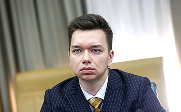Заседание Палаты молодых законодателей при Совете Федерации