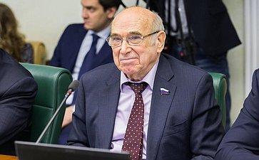 В. Рогоцкий на расширенном заседании Комитета Совета Федерации по экономической политике