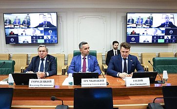 Круглый стол Комитета СФ по экономической политике на тему «Проблемы бесхозяйного имущества в Российской Федерации»