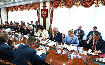 Заседание Комитета Совета Федерации по международным делам