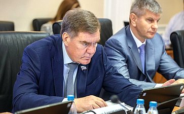 Заседание Комитета Совета Федерации по Регламенту и организации парламентской деятельности
