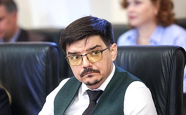Совещание Комитета СФ по Регламенту и организации парламентской деятельности «Реабилитация участников СВО, медицинские технологии – IT и ИИ решения»