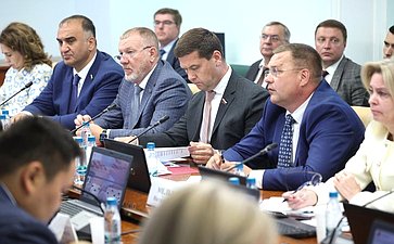 Расширенное заседание Комитета Совета Федерации по социальной политике (в рамках Дней Саратовской области в Совете Федерации)