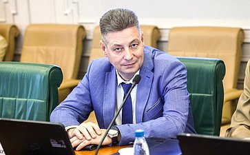 Заседание Комитета СФ по международным делам