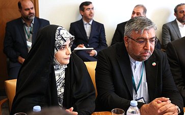 Встреча Председателя Совета Федерации Валентины Матвиенко с Председателем Собрания исламского совета Исламской Республики Иран Мохаммадом Багером Галибафом
