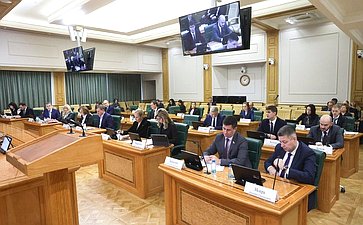 Заседание Комитета Совета Федерации по бюджету и финансовым рынкам