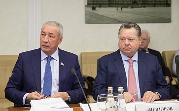 Р. Сафин и Невзоров на расширенном заседании Комитета СФ