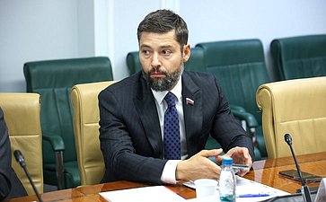 Круглый стол Комитета Совета Федерации по федеративному устройству, региональной политике, МСУ и делам Севера на тему «Актуальные проблемы развития сегмента строительства малоэтажных жилых комплексов»