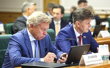 Заседание Комитета Совета Федерации по конституционному законодательству и государственному строительству
