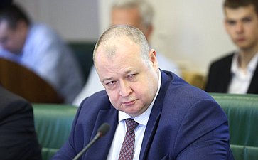 Встреча председателя Комитета СФ по международным делам Григория Карасина с заместителем Председателя Сената Республики Кения Катури Мурунги