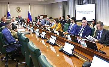 Заседание Комитета СФ по международным делам