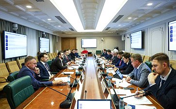 Круглый стол Комитета Совета Федерации по экономической политике «О перспективах обновления инфраструктуры и подвижного состава городского электрического транспорта в субъектах Российской Федерации»