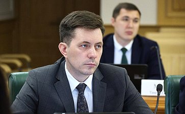 Заседание Комитета Совета Федерации по бюджету и финансовым рынкам
