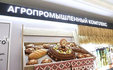 Валентина Матвиенко и Павел Малков осмотрели выставку, посвященную истории и перспективам развития Рязанской области