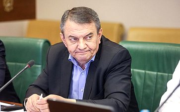 Заседание Комитета Совета Федерации по бюджету и финансовым рынкам