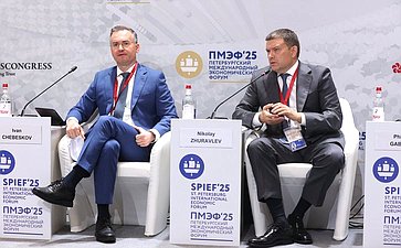 XXVIII Петербургский международный экономический форум (ПМЭФ’25). «Программа долгосрочных сбережений – драйвер развития российской экономики и улучшения благосостояния граждан»