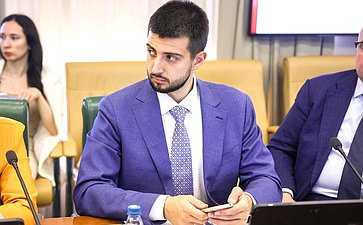 Заседание Комитета СФ по международным делам