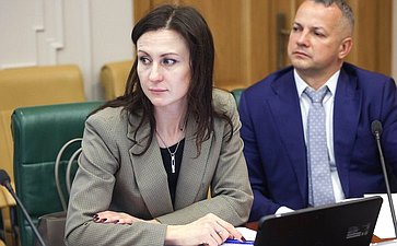 Круглый стол Комитета СФ по международным делам совместно с Комитетом СФ по конституционному законодательству и государственному строительству «Юрисдикция международных судебных и арбитражных органов в отношении Российской Федерации»