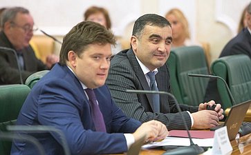 Н. Журавлев Заседание Комитета СФ по бюджету и финансовым рынкам