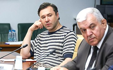 Круглый стол Комитета СФ по конституционному законодательству и государственному строительству на тему «Федеральный закон от 14 июля 2022 года № 307-ФЗ «О внесении изменений в Уголовный кодекс РФ»: практика его применения и перспективы совершенствования»
