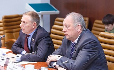 Заседание Временной комиссии СФ по вопросам совершенствования законодательства РФ в области СМИ