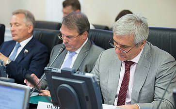 Заседание Комитета по международным делам Паланкоев