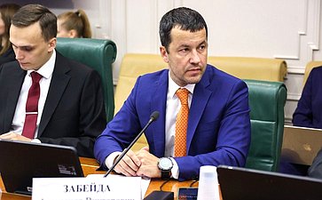Круглый стол Комитета СФ по конституционному законодательству и государственного строительства «Ответственность за воспрепятствование профессиональной деятельности адвоката как гарантия реализации принципа состязательности и равноправия сторон»