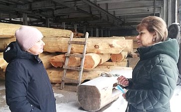 Татьяна Гигель в ходе рабочей поездки по региону провела ряд встреч с предпринимателями, которые занимаются деревянным домостроением
