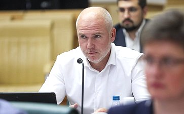 Заседание экспертно-консультативного совета при Комитете Совета Федерации по конституционному законодательству и государственному строительству