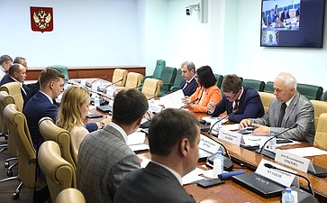 Заседание межведомственной рабочей группы Комитета Совета Федерации по Регламенту и организации парламентской деятельности