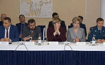 Расширенное заседание Временной комиссии Совета Федерации по совершенствованию правового регулирования в сфере государственного контроля (надзора) и муниципального контроля в Российской Федерации