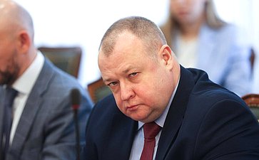 Встреча первого заместителя председателя Комитета СФ по международным делам Андрея Денисова с делегацией Республики Индии во главе с членом Народной палаты парламента Каниможи Карунанидхи