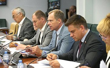 Заседание Совета по вопросам газификации субъектов РФ при Совете Федерации