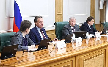 Заседание Комитета Совета Федерации по бюджету и финансовым рынкам