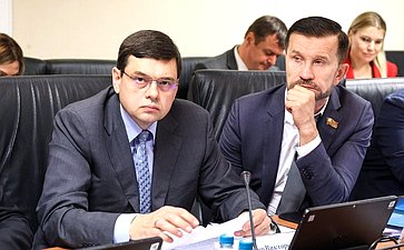 Заседание Комитета Совета Федерации по Регламенту и организации парламентской деятельности